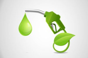 Many-countries-including-India-have-adopted-E20-in-the-race-for-clean-fuel