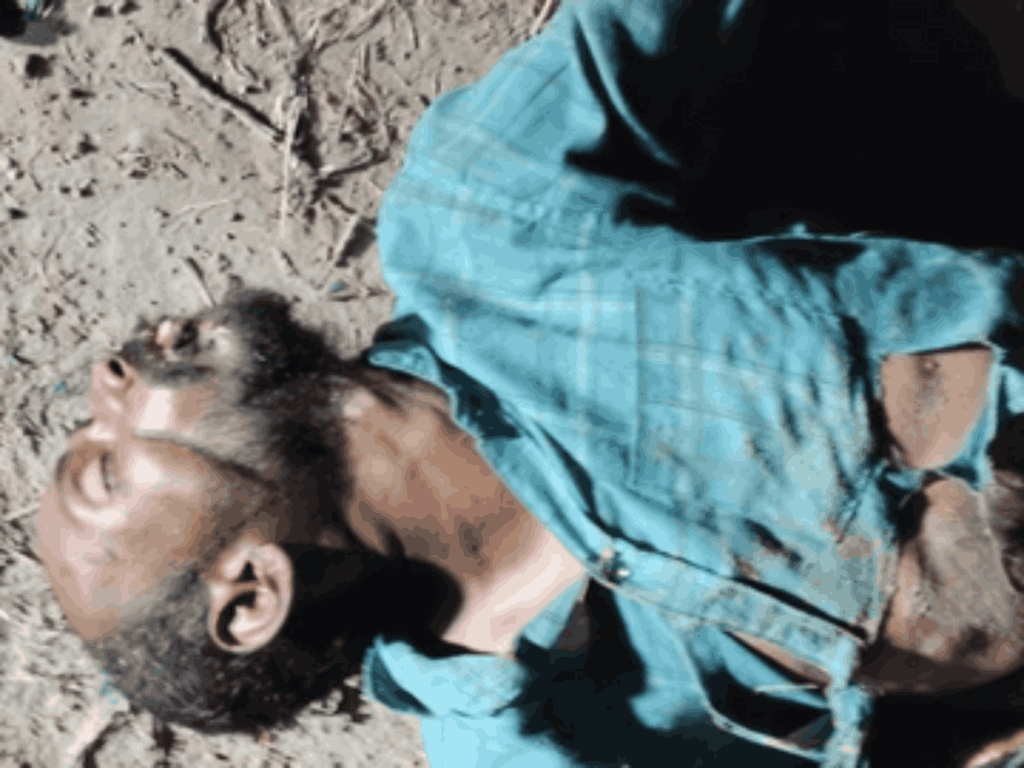 भारत-पाक बॉर्डर पर संदिग्ध घुसपैठिया मारा गया