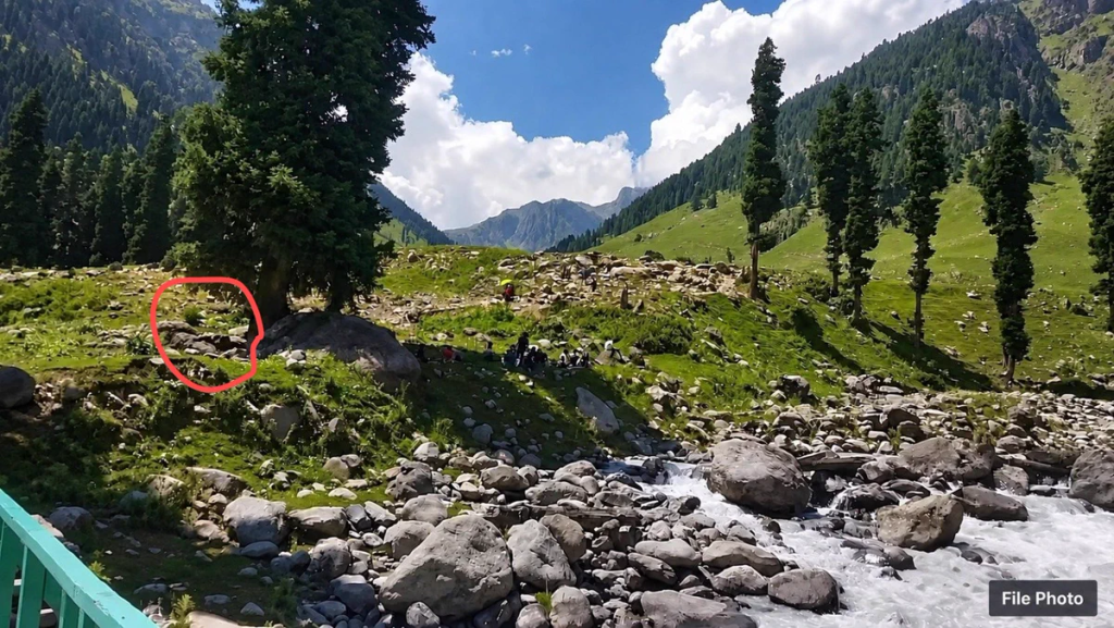 उधमपुर में सिक्योरिटी फोर्स के जॉइंट ऑपरेशन में दो आतंकवादी मारे गए