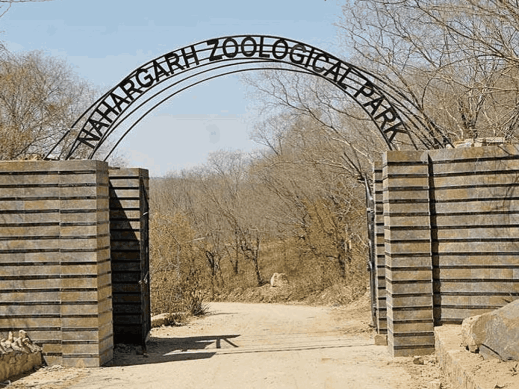 पिंजरे का गेट खुला और टाइगर शिवाजी ने किया हमला, महिला मजदूर की मौत