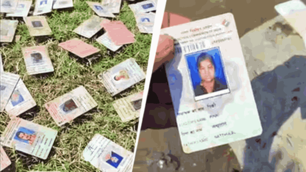 नर्मदा नदी के किनारे बिखरे वोटर ID कार्ड